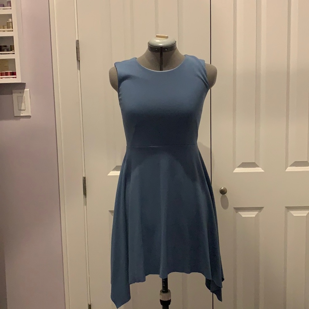 Philosophy fit and flare dress with asymmetric/Rae edge hem